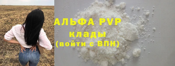 spice Верея