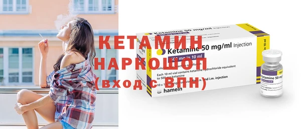 индика Слюдянка