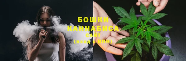 спайс Снежногорск