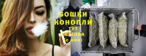 spice Верея
