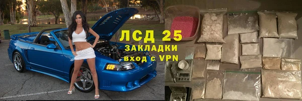 индика Слюдянка