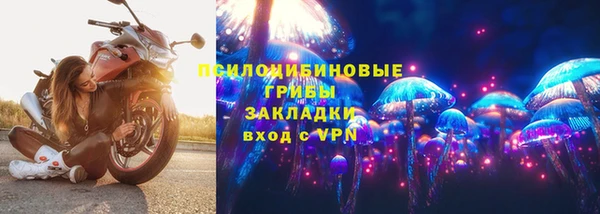 spice Верея