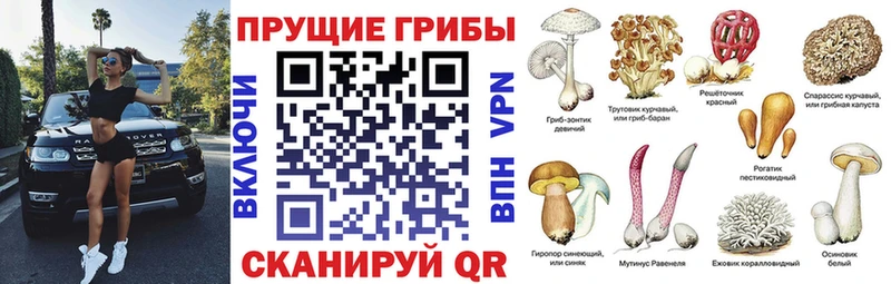 Галлюциногенные грибы MAGIC MUSHROOMS  Вятские Поляны 